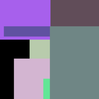 Medium Black Smoothie